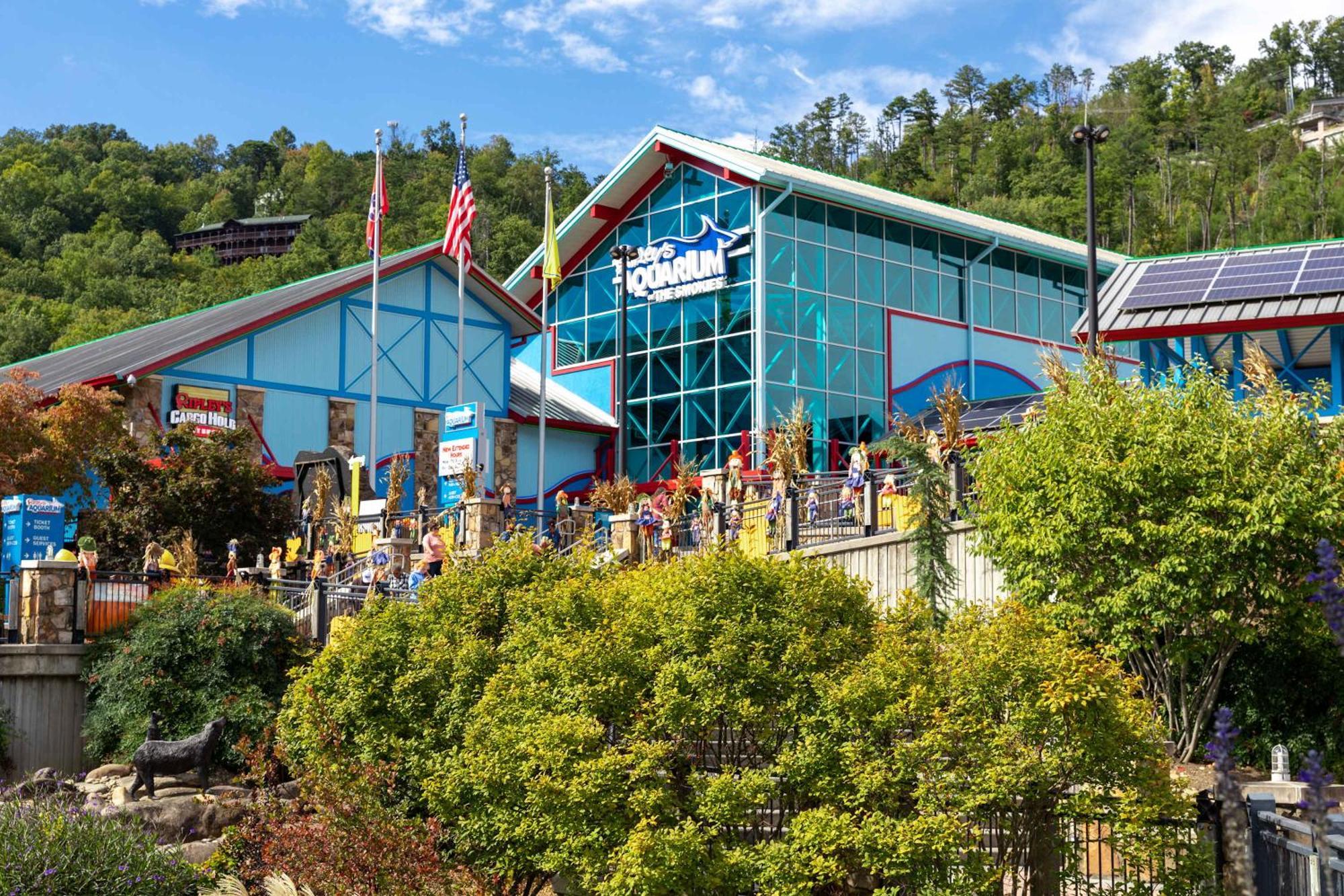 A Natural High Villa Sevierville Exterior foto
